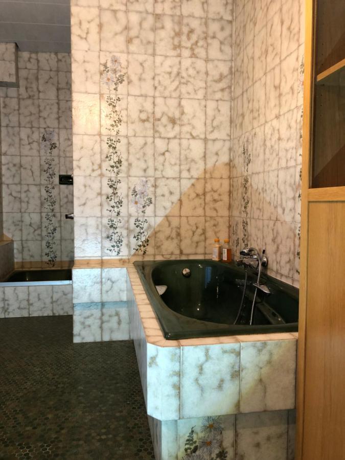 לונווי Appartement Style Loft Industrielle De 250M2 מראה חיצוני תמונה